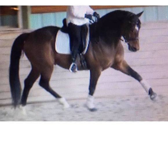 Meet your Posher, Sally - Picture 1 of 1